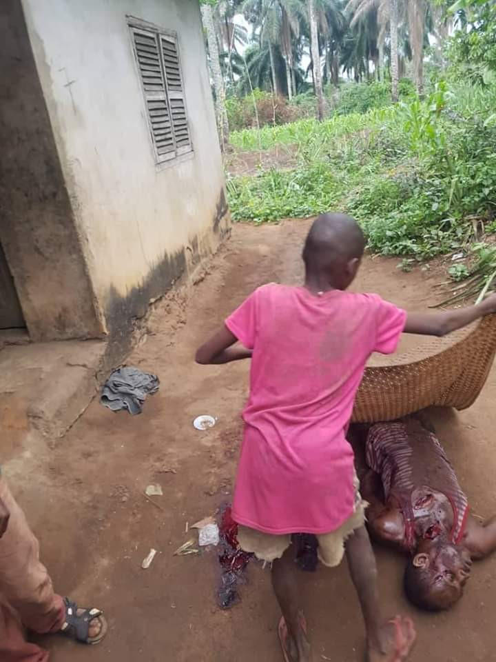 Man kills his cousin over mangoes in Abia (graphic photos)