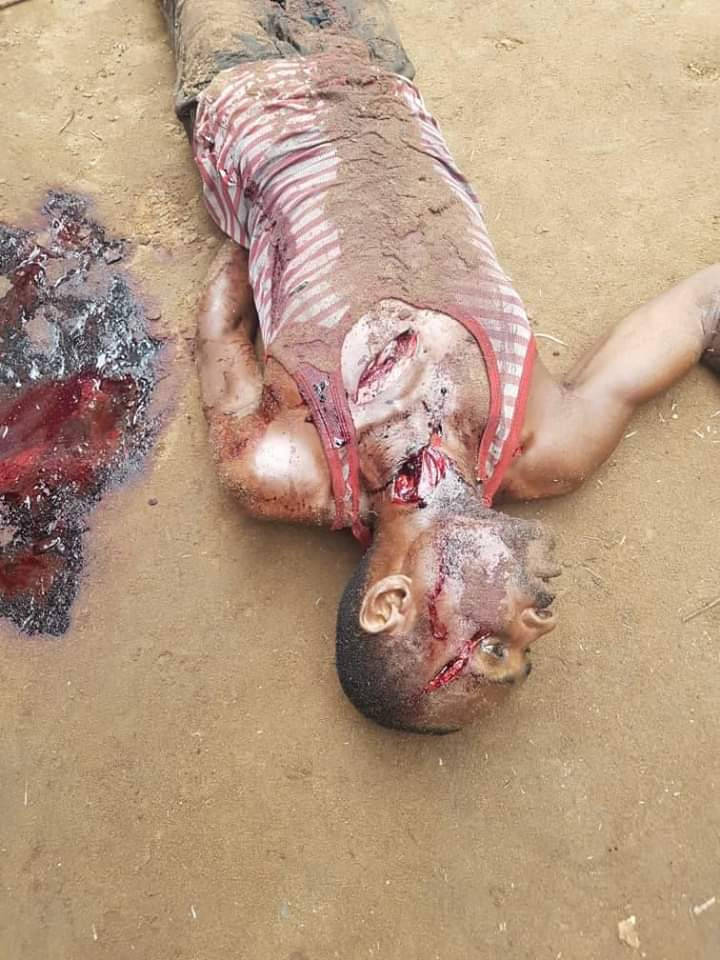 Man kills his cousin over mangoes in Abia (graphic photos)