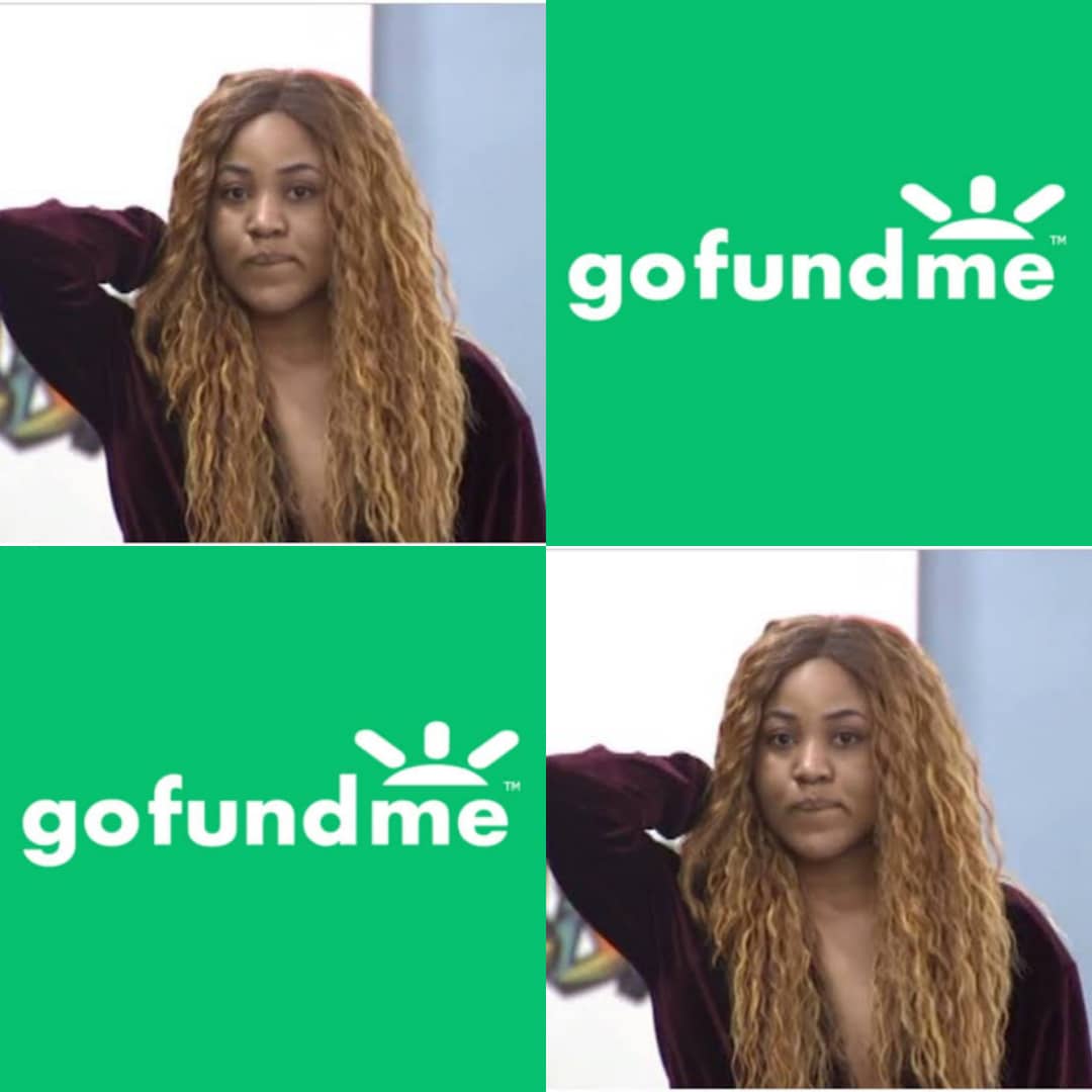 #bbnaijalockdown2020: Erica Fans Start GoFundMe To Compensate Her, Raise #3.4million Two Hours After