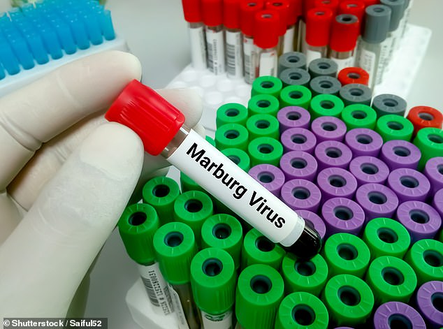 JUST IN: Panic As First Marburg Highly Infectious Virus Disease Confirmed In West Africa