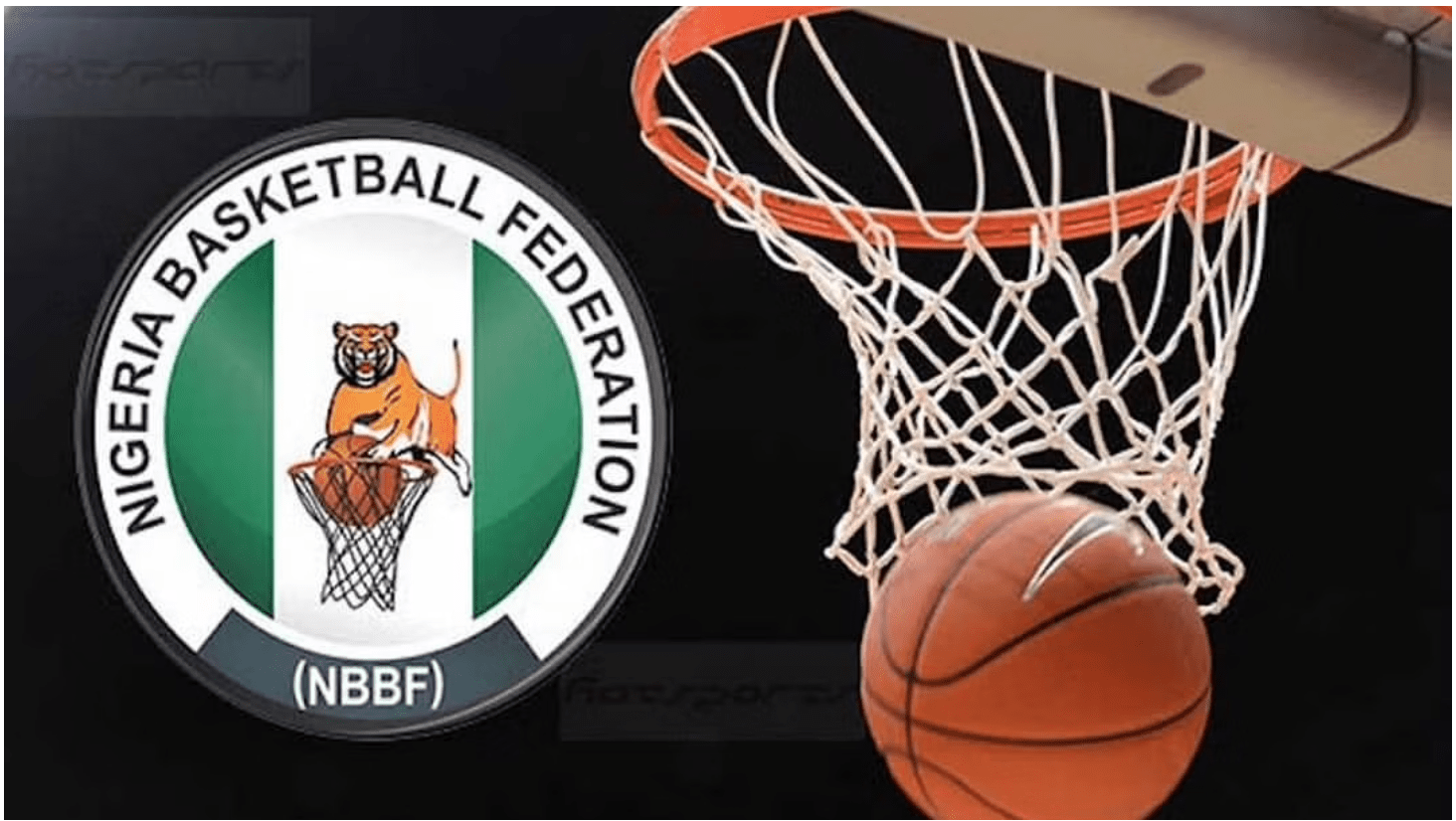 FG Suspends Nigeria From International Basketball Competitions