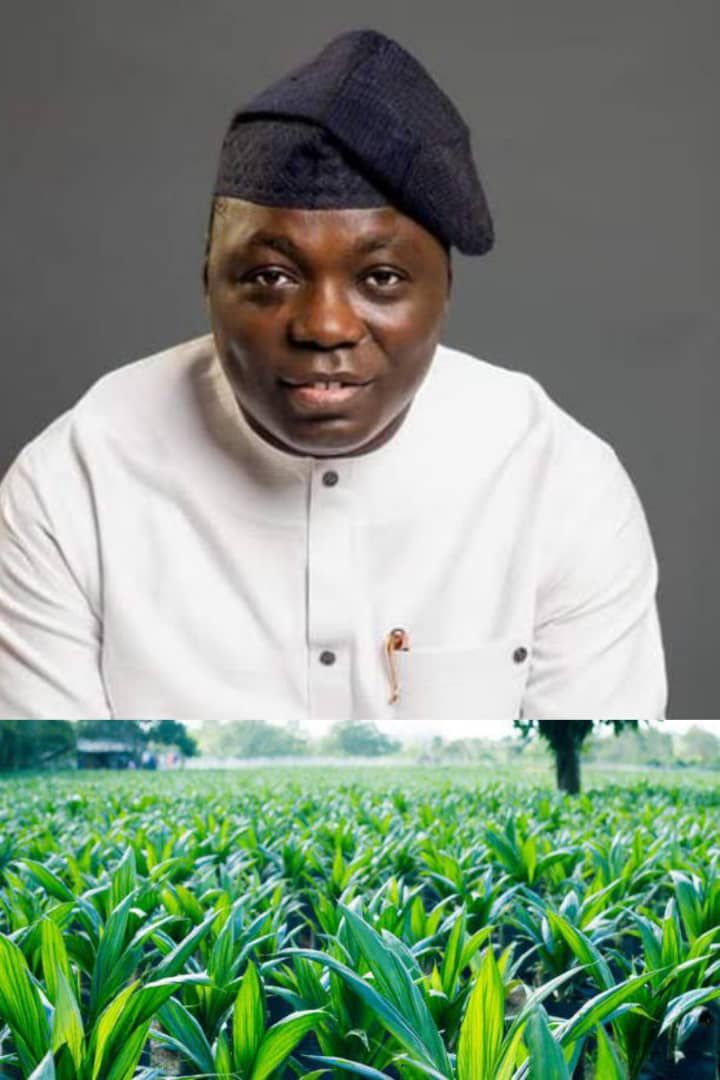 Taraba State Governor Agbu Kefas's Silent Climate and Agricultural ...